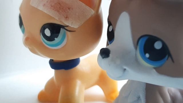 LPS сериал:Новая граница|13 серия|КОНЕЦ! смотреть онлайн