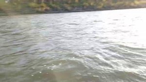 Лодка на воде! Первый тест-драйв BoatsMan 350A!