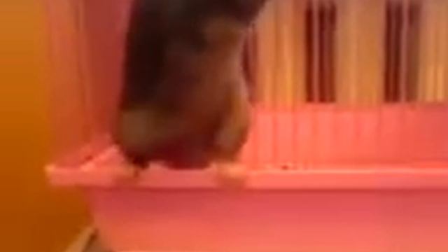 Побег из Алькатраса смотреть онлайн