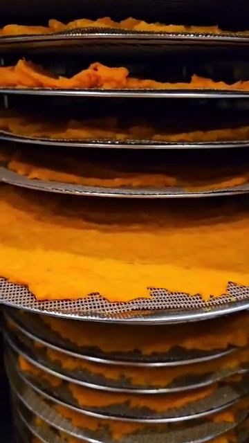 Применение тефлоновой сетки в дегидраторе Airhot FD-16GR