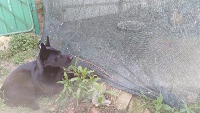 Порадовала себя новой пряжей//Жизнь за городом ч.33/25 смотреть онлайн