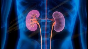 Исцеление почек: Энергия меридиана и звуковые частоты