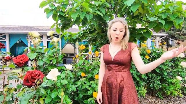А.Воронюк.Это Аккерман.Авторская.
