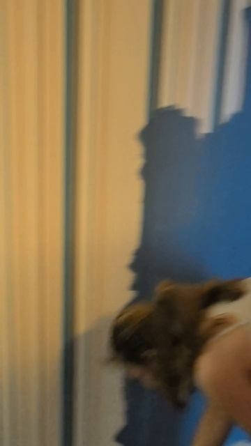 Отличие junior от senior специалиста #ремонт #краска #junior #senior #it #айти смотреть онлайн