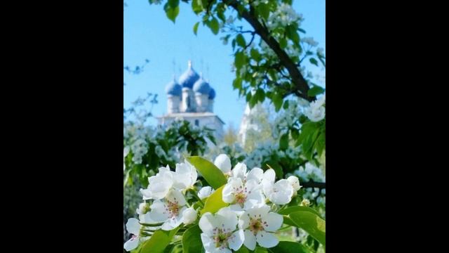 Многая лета. Красивое Многолетие.