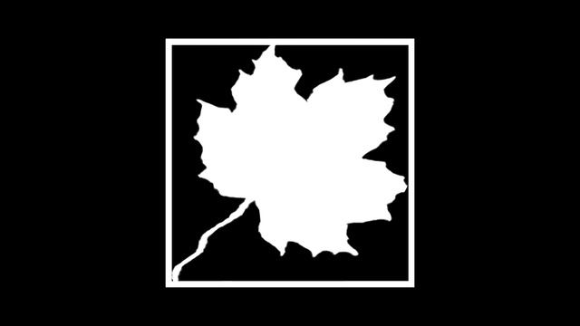 ПЛАВАЮЩИЙ ЛИСТ В РАМКЕ Видеомаска смотреть онлайн