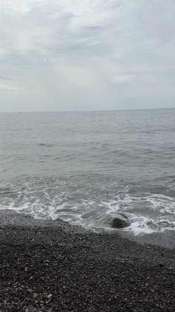 Пляж в Малореченском сегодня. Крым 2025 #малореченское #крымсегодня #крым2025 смотреть онлайн