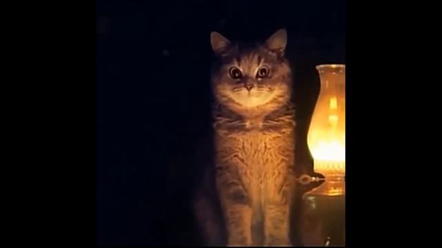 Обзор фильма "трещина" смотреть онлайн