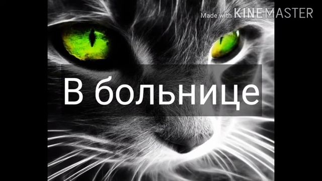 |Сериал ~•°Зов Волка°•~ 5 Серия °||°Финал°||° смотреть онлайн