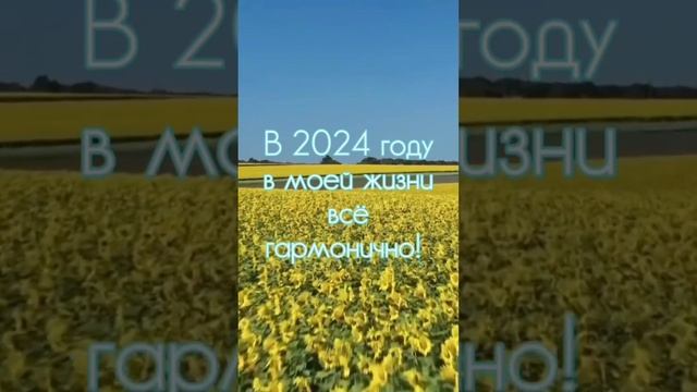 2024 — самый лучший год в моей жизни! смотреть онлайн