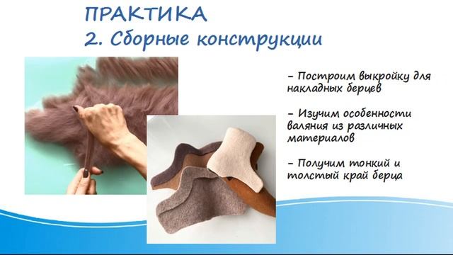 Программа вебинара 