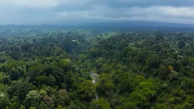 Свекровь потребовала у невестки сделать ей дубликат к