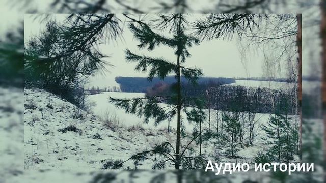 Не прошло и месяца после свадьбы, как новоиспеченный м