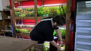 Внешний аквариумный фильтр Netlea.