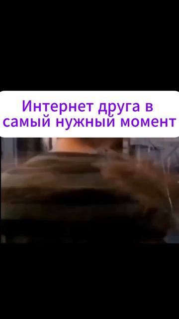 Rust вылетел интернет #rust #раст смотреть онлайн