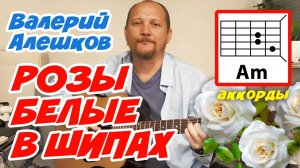РОЗЫ БЕЛЫЕ В ШИПАХ - ВАЛЕРИЙ АЛЕШКОВ (АККОРДЫ, ТЕКСТ И БОЙ) ПРОСТАЯ ПЕСНЯ НА ГИТАРЕ (КАК ИГРАТЬ)