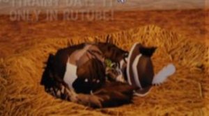 Эдит для Дождливого Дня 💖