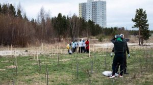 В Фёдоровском создали яблоневый сад в честь 80-летия Великой Победы
