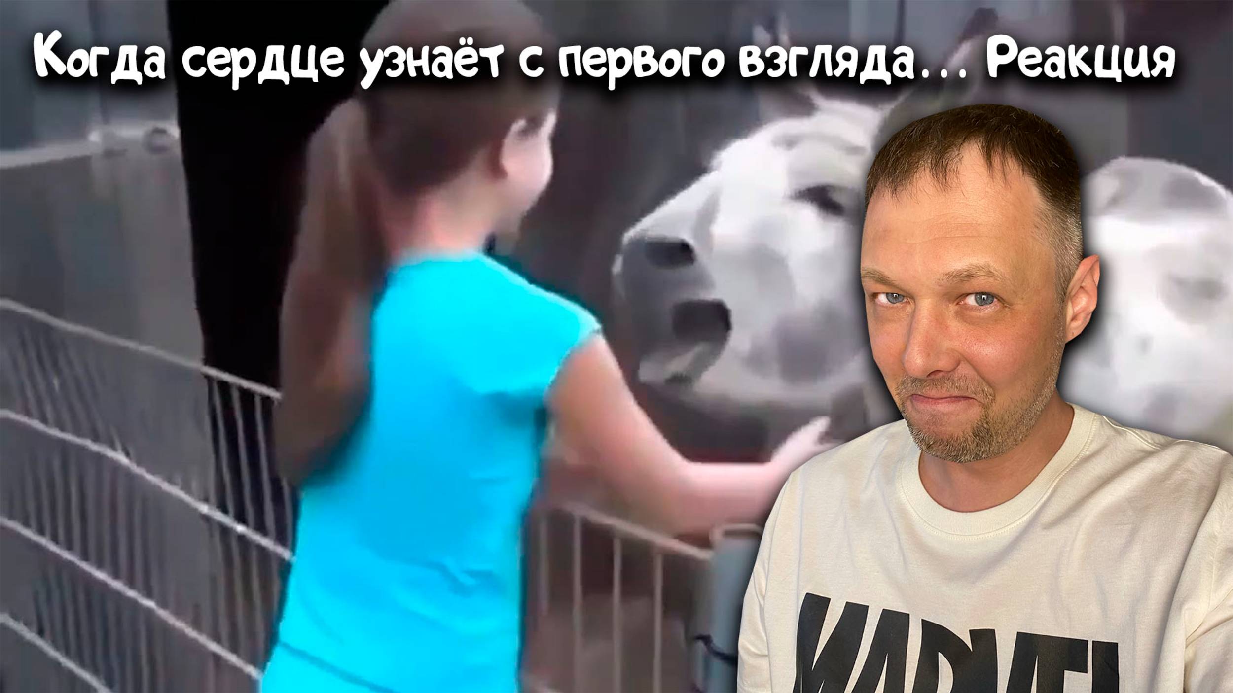 Когда сердце узнаёт с первого взгляда… Реакция на воссоединения спустя годы