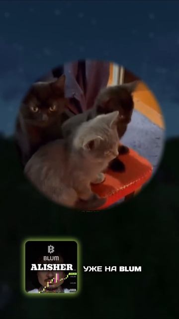 🤔Как поступишь? #мем #мемы #юмор #смешно #прикол #телег? смотреть онлайн