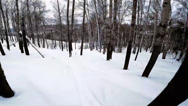 Юрманка 17.3.24 г #ski#snowboard#freeride #freerider смотреть онлайн