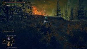 Граф Имир, первосвященник #47 Прохождение DLC Elden Ring Shadow of the Erdtree