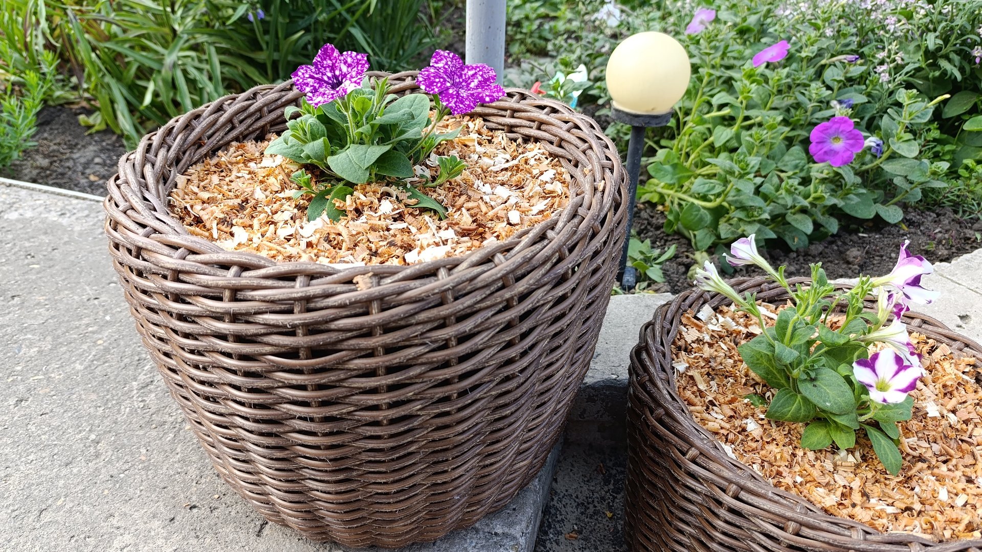 Кашпо из ротанга. Моё новое увлечение. смотреть онлайн