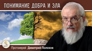 ДОБРО И ЗЛО В ПРАВОСЛАВНОМ ПОНИМАНИИ.  Протоиерей Димитрий Полохов
