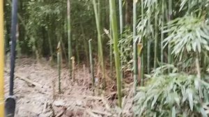 Прогулка по Сочи. Старые улочки, покупка. Вечерняя набережная.