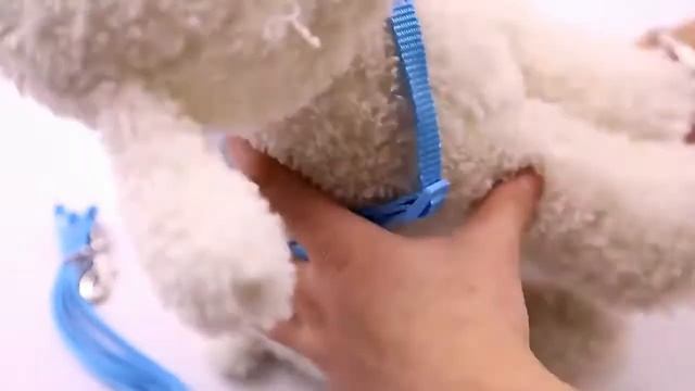 шлейка крылья для питомцев смотреть онлайн