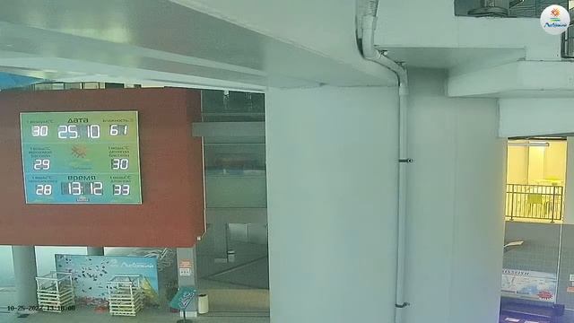 Прямая трансляция Аквапарк "Лебяжий" смотреть онлайн