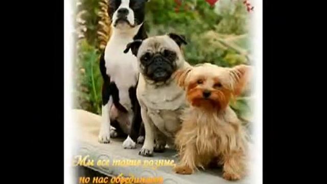 Дружба -  это не работа