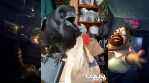 Коуб приколы 31