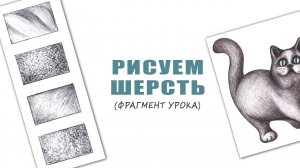 Рисуем шерсть простым карандашом (Фрагмент урока)