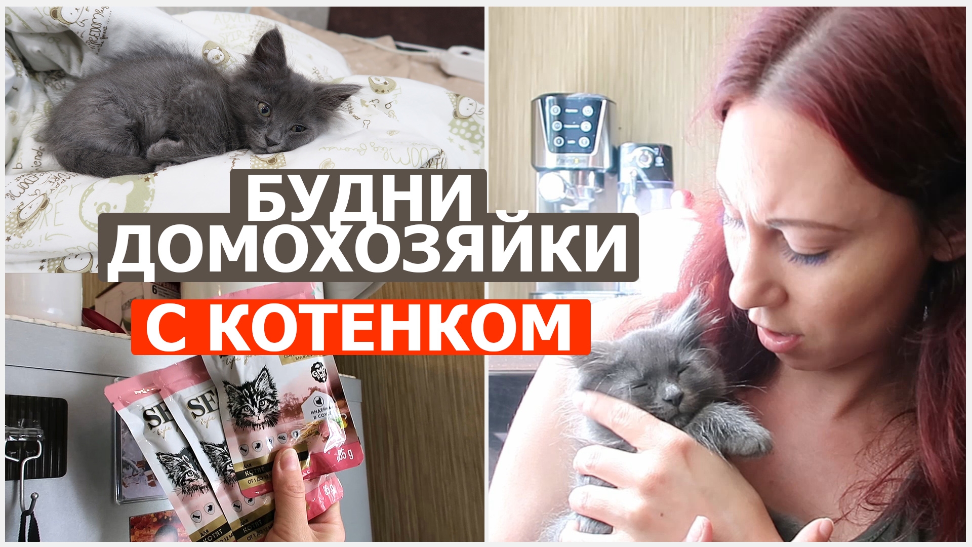 Будни домохозяйки с котенком смотреть онлайн