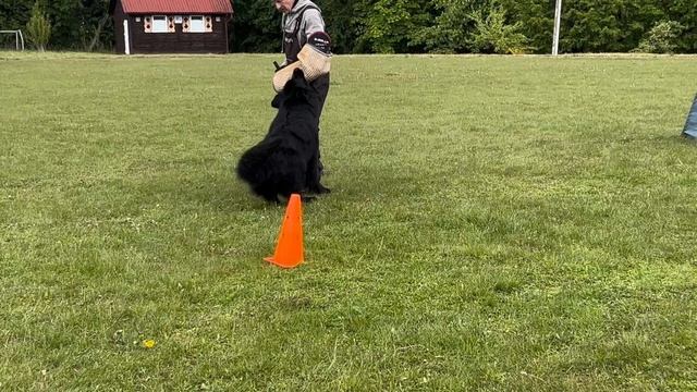 6 Отл. КАСПЕР ф. Руссишен Хоф ++- №107 / КЧК+ БОРИСОВ (BY) 17 мая`25 M.Jovovic Моно нем.овч.