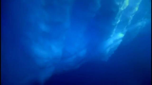 арктика смотреть онлайн