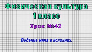 Физическая культура 1 класс (Урок№42 - Ведение мяча в колоннах.)