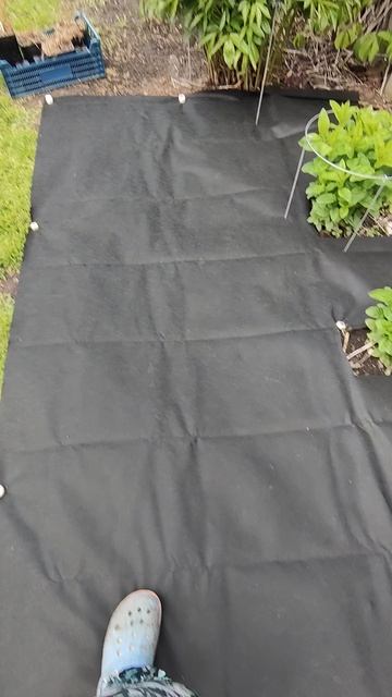 земляникаРегион54