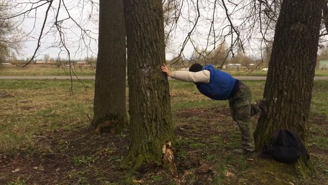 Кин Конг в белорусских лесах) смотреть онлайн