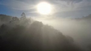 Муджи ~ медитация ~ Зов Изнутри