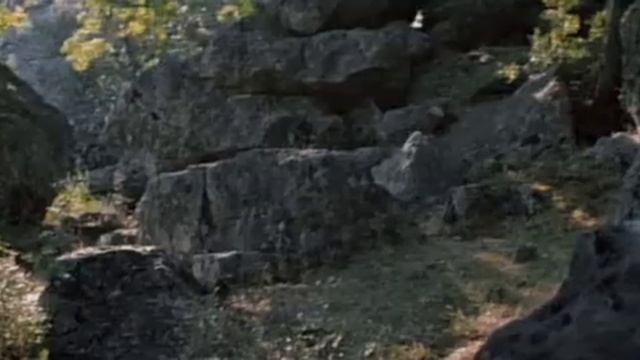 Фильм-сказка Огонь, вода и медные трубы 1968