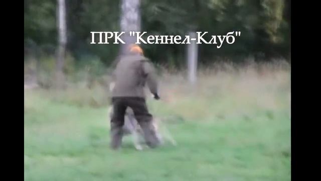 КАУРИ КАСКАД смотреть онлайн