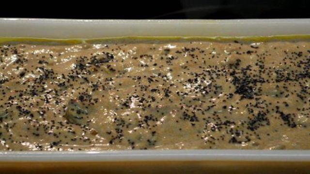 1000 и 1 рецепт