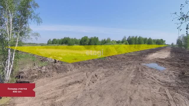 3 4317736 смотреть онлайн