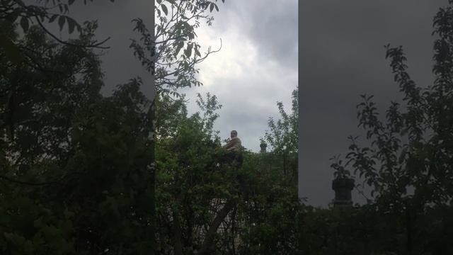 Кукуй огнездился😂 смотреть онлайн