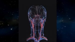 Основная матрица исцеления по Гаряеву