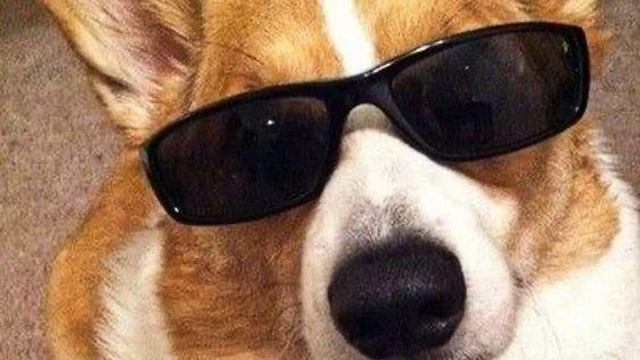 плейлист популярных песен из тик тока 2024// часть 1✨