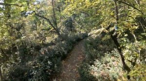 САНАТОРИЙ В КРЫМУ (АЙ-ДАНИЛЬ) #крым #отдых #подпишись 🔔