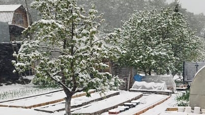 СНЕГОПАД В КОНЦЕ МАЯ В КРАСНОЯРСКЕ